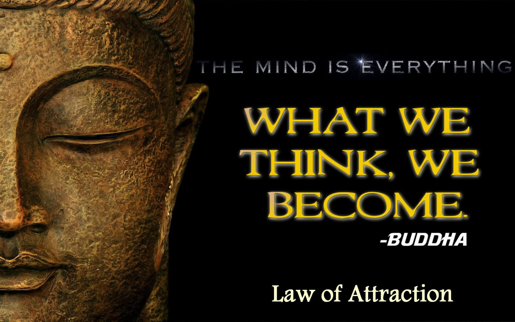 of Laws of Life