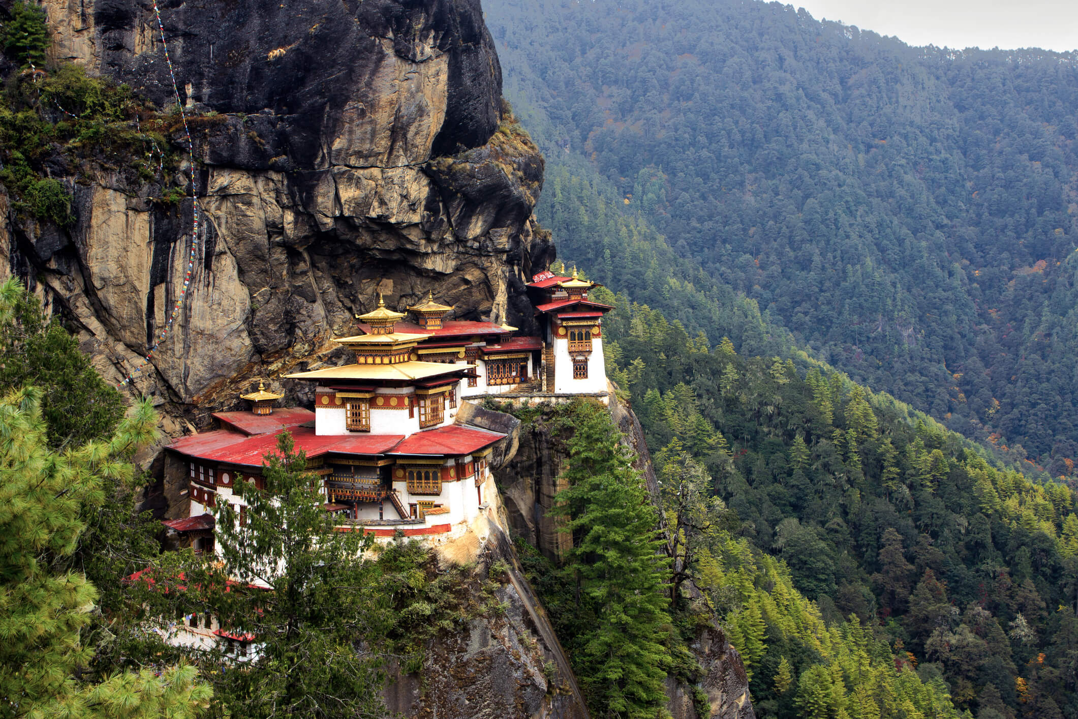 Official tibet travel permit