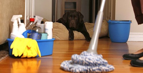 Indoor Air Quality