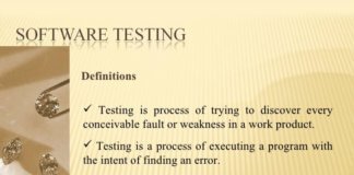 Software Testing and Software Error Definitions