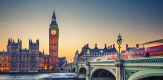 World’s first bus tour for DOGS launches in London