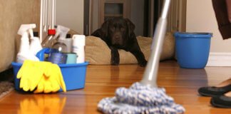 4 Ways to Improve Indoor Air Quality hzKUosGWzmq66oKCe42DKTuQsQI6EQX1cds5JXVA.jpeg