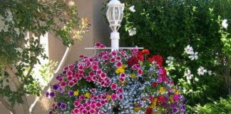 8 Vertical Gardening Ideas That Will Blow Your Mind